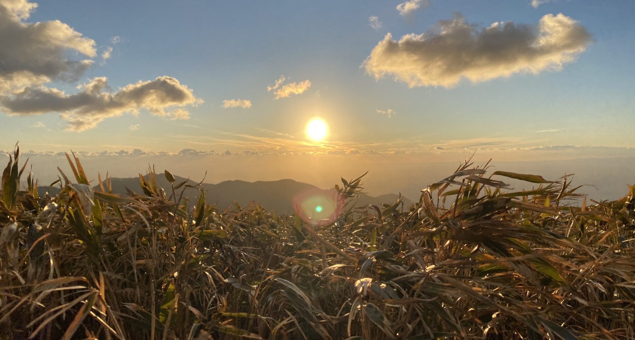 仁科峠